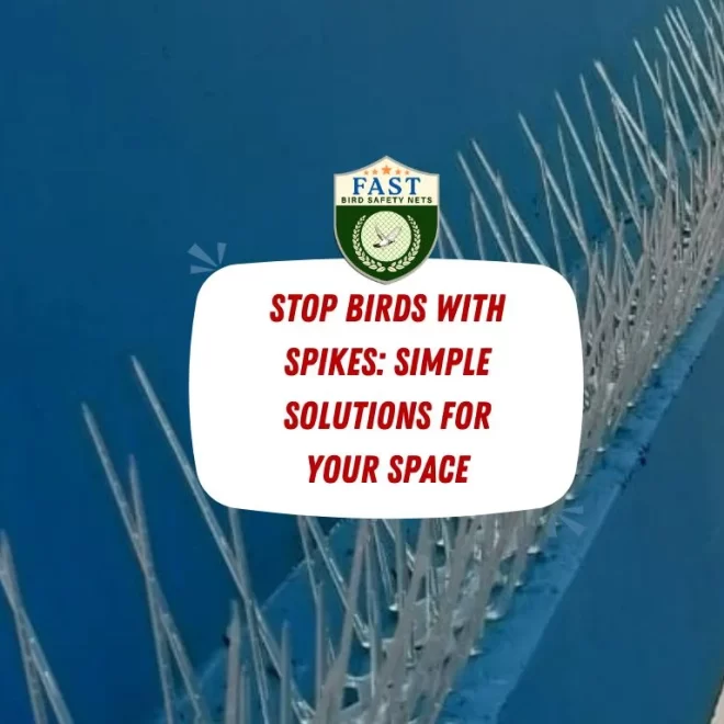 Stop Birds with Spikes: Simple Solutions for Your Space