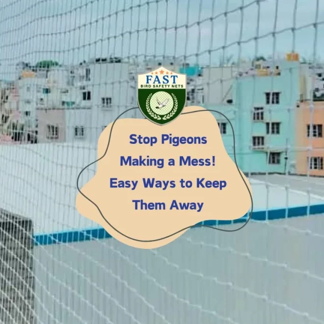 Stop Pigeons Making a Mess! Easy Ways to Keep Them Away