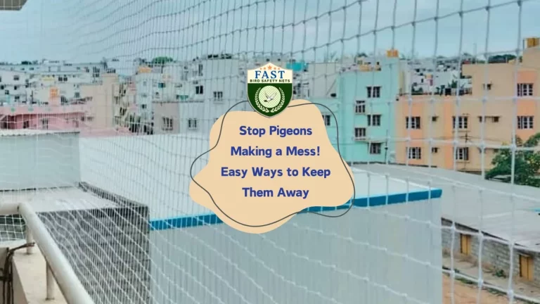 Stop Pigeons Making a Mess! Easy Ways to Keep Them Away