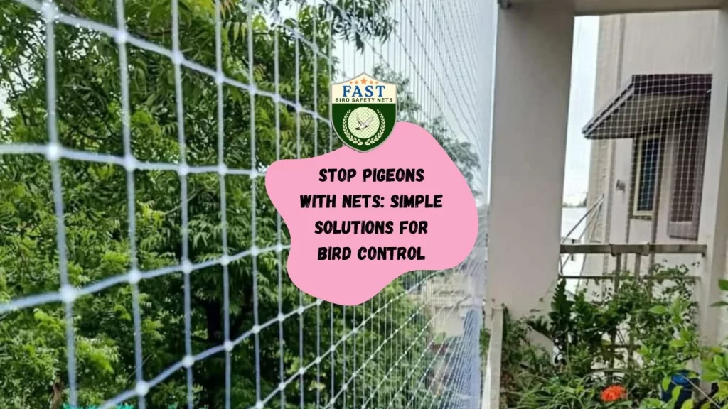 Stop Pigeons with Nets: Simple Solutions for Bird Control