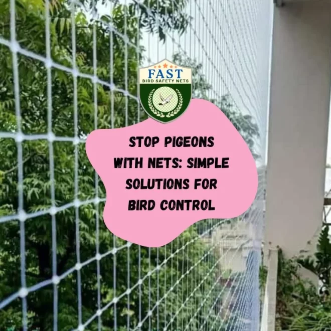 Stop Pigeons with Nets: Simple Solutions for Bird Control