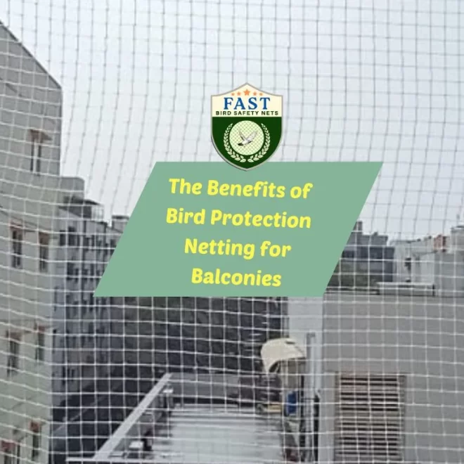 The Benefits of Bird Protection Netting for Balconies