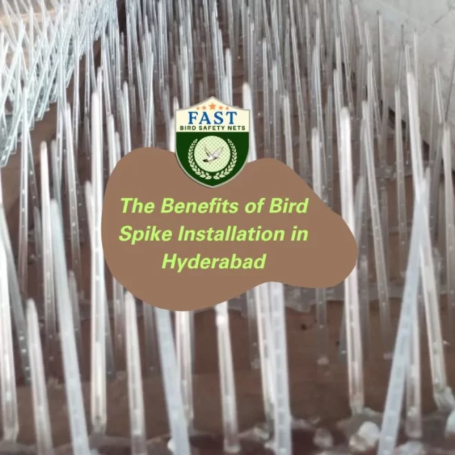 The Benefits of Bird Spike Installation in Hyderabad