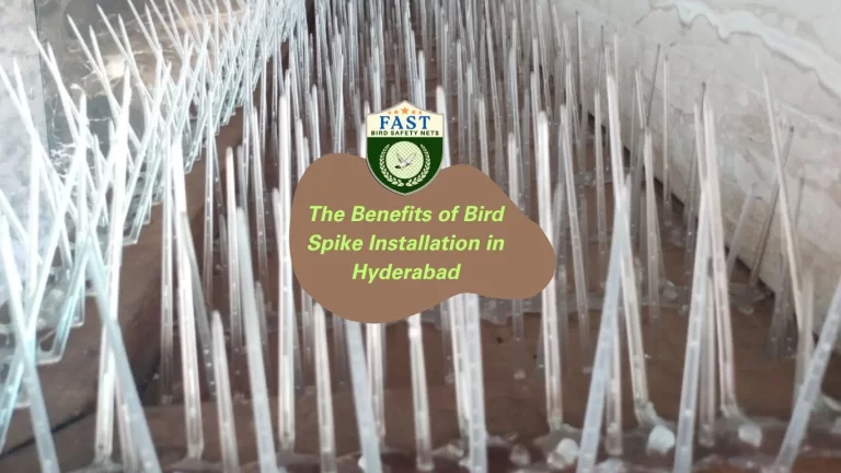 The Benefits of Bird Spike Installation in Hyderabad