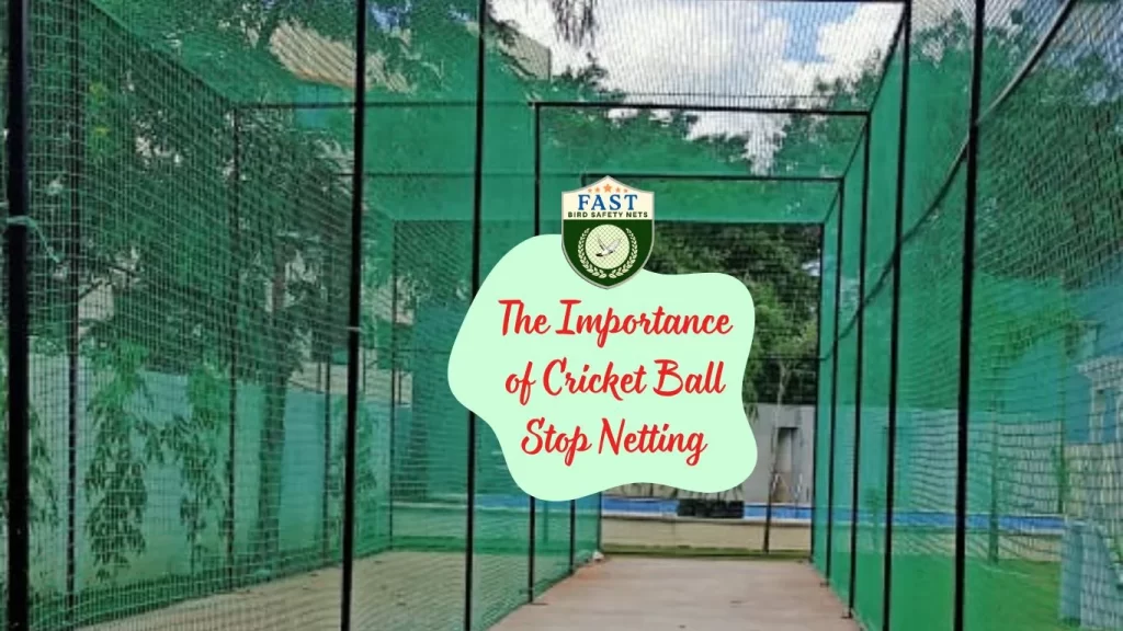 The Importance of Cricket Ball Stop Netting