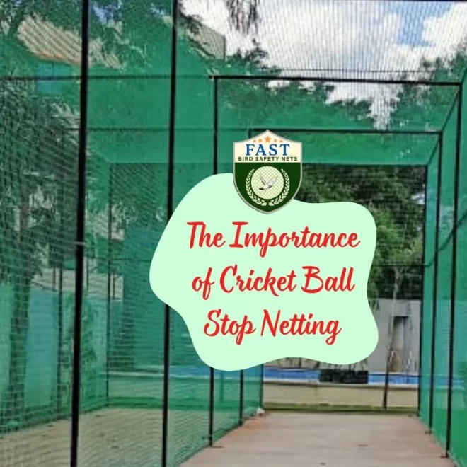 The Importance of Cricket Ball Stop Netting