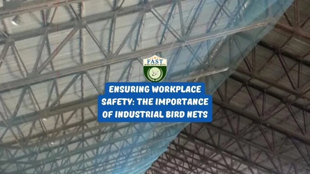 Ensuring Workplace Safety: The Importance of Industrial Bird Nets