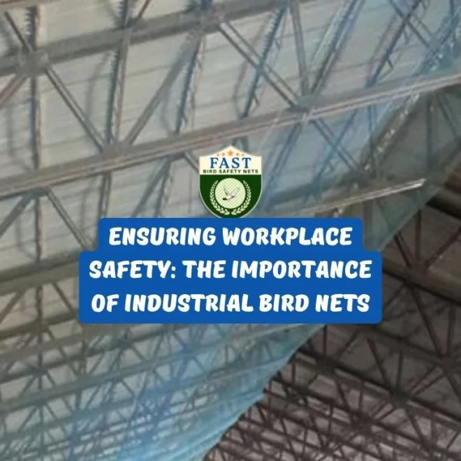 Ensuring Workplace Safety: The Importance of Industrial Bird Nets