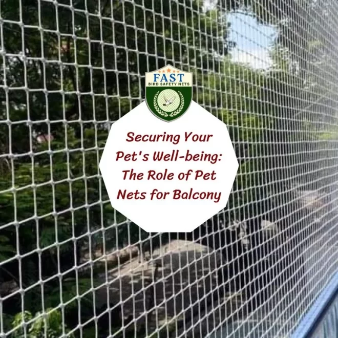 Securing Your Pet’s Well-being: The Role of Pet Nets for Balcony