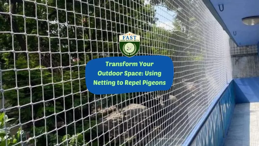 Transform Your Outdoor Space: Using Pigeon Netting to Repel Pigeons