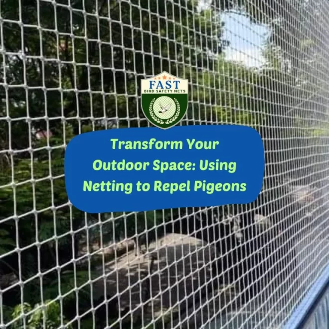 Transform Your Outdoor Space: Using Pigeon Netting to Repel Pigeons