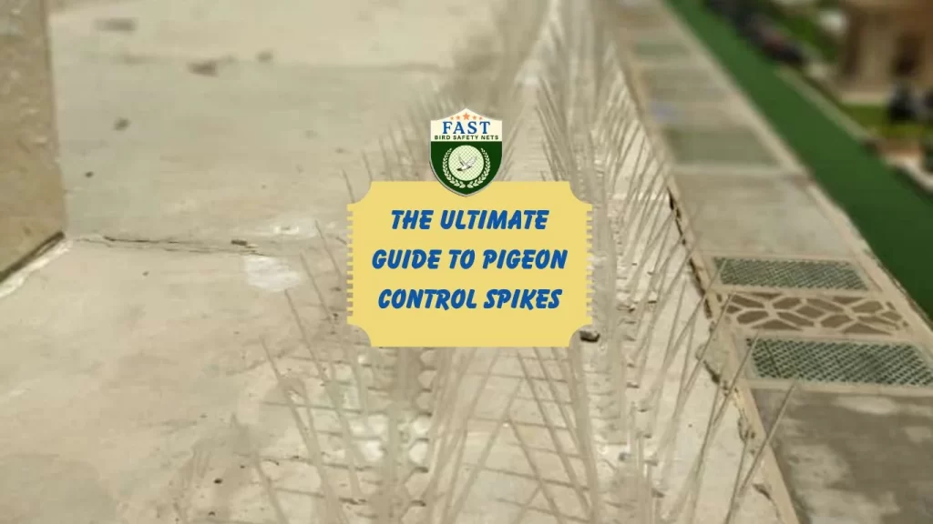 The Ultimate Guide to Pigeon Control Spikes