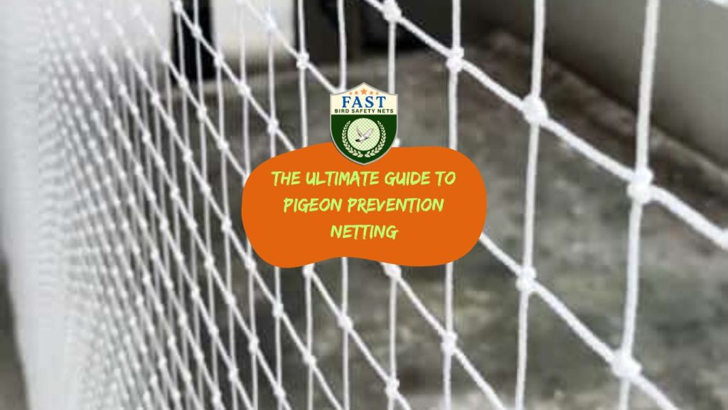 The Ultimate Guide to Pigeon Prevention Netting