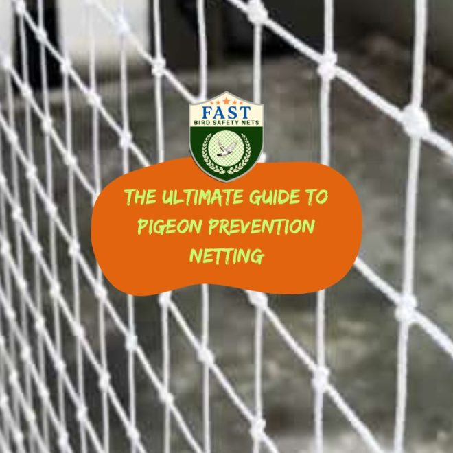 The Ultimate Guide to Pigeon Prevention Netting