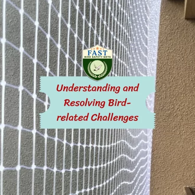 Understanding and Resolving Bird-related Challenges