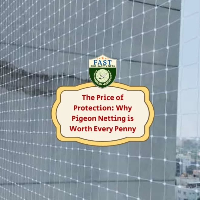 The Price of Protection: Why Pigeon Netting is Worth Every Penny