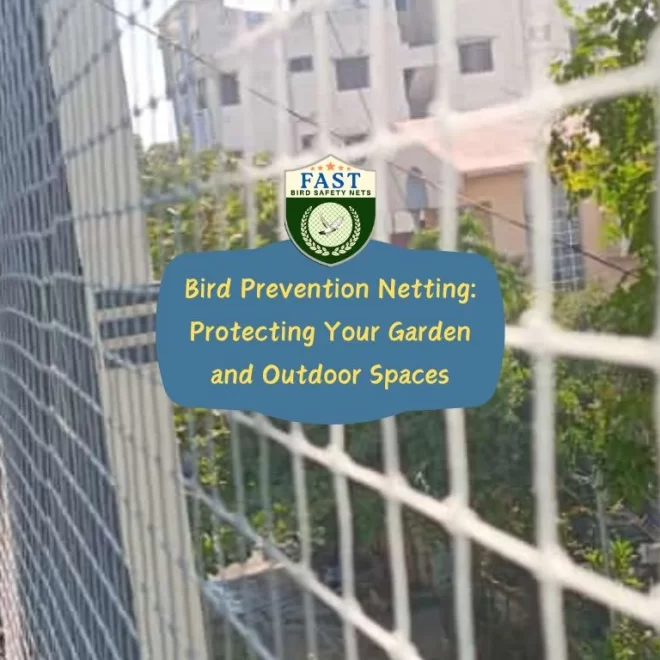 Bird Prevention Netting: Protecting Your Garden and Outdoor Spaces