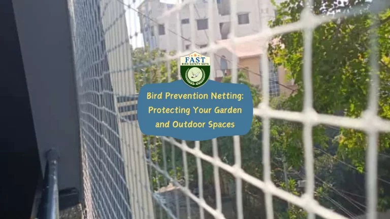 Bird Prevention Netting: Protecting Your Garden and Outdoor Spaces