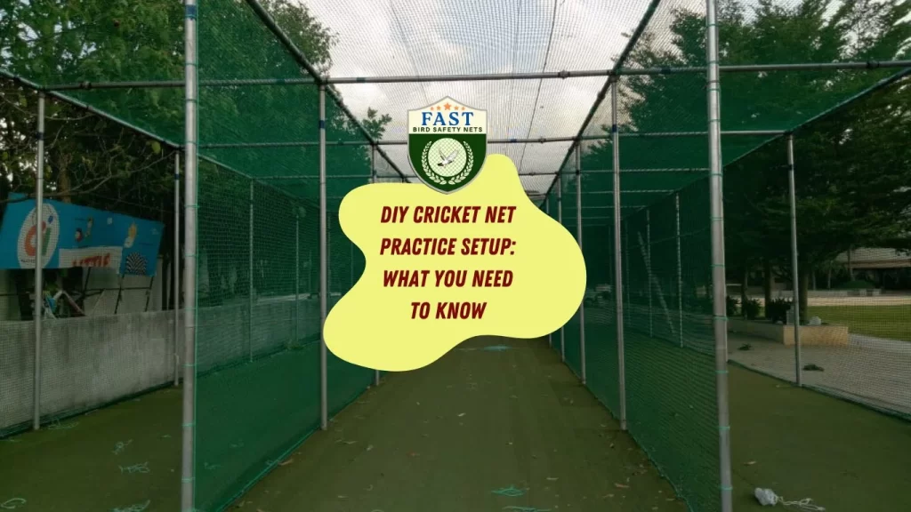 DIY Cricket Net Practice Setup: What You Need to Know