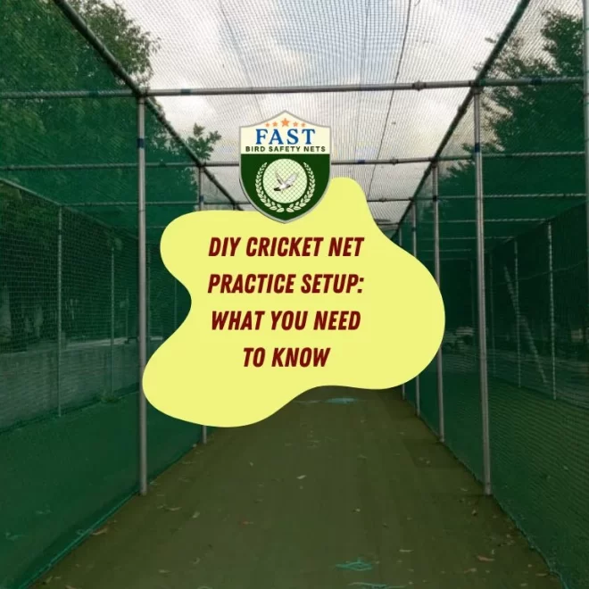 DIY Cricket Net Practice Setup: What You Need to Know