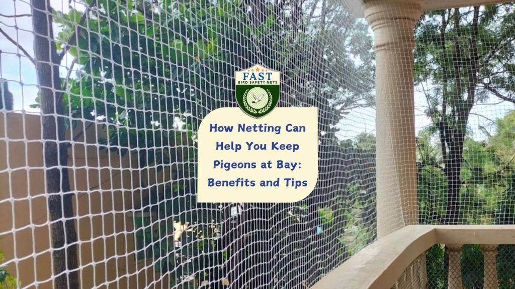 How Netting Can Help You Keep Pigeons at Bay: Benefits and Tips