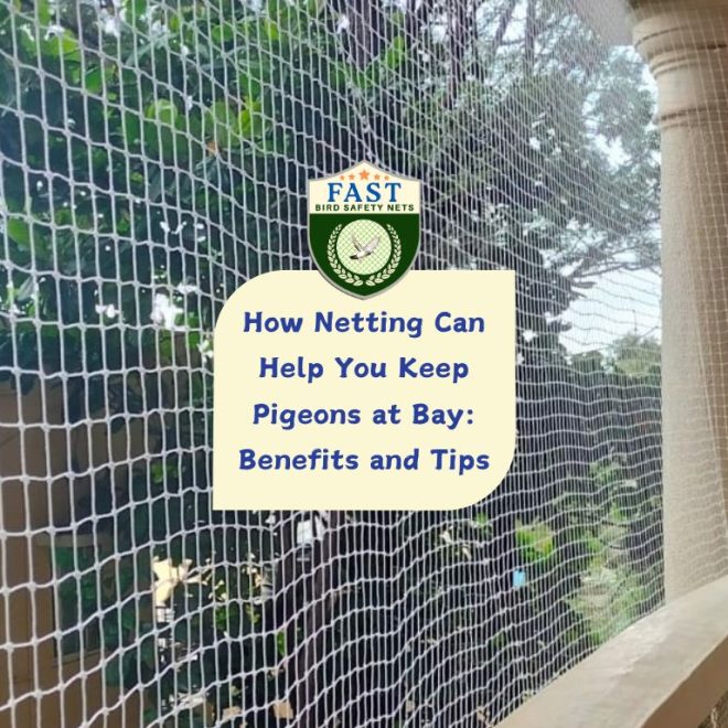How Netting Can Help You Keep Pigeons at Bay: Benefits and Tips