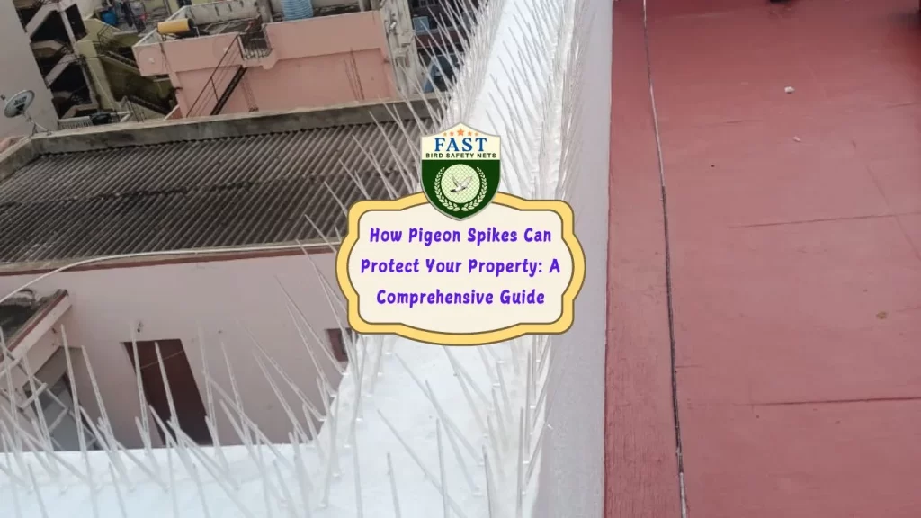 How Pigeon Spikes Can Protect Your Property: A Comprehensive Guide