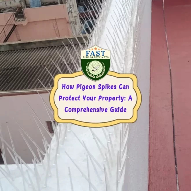 How Pigeon Spikes Can Protect Your Property: A Comprehensive Guide