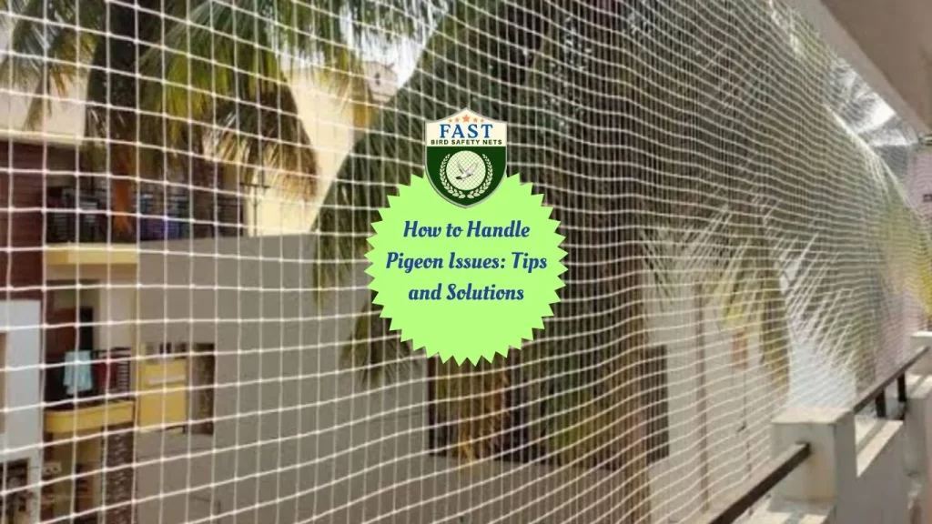 Choosing the Right Netting to Keep Pigeons Away: What You Need to Know