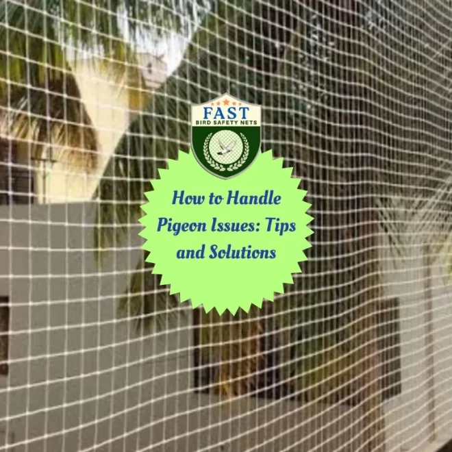 Choosing the Right Netting to Keep Pigeons Away: What You Need to Know