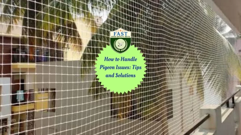 Choosing the Right Netting to Keep Pigeons Away: What You Need to Know