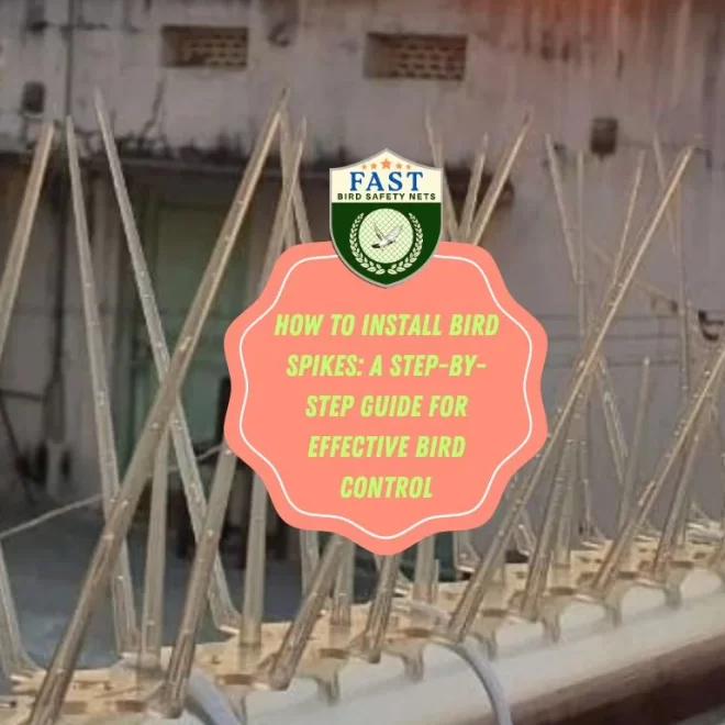 How to Install Bird Spikes: A Step-by-Step Guide for Effective Bird Control