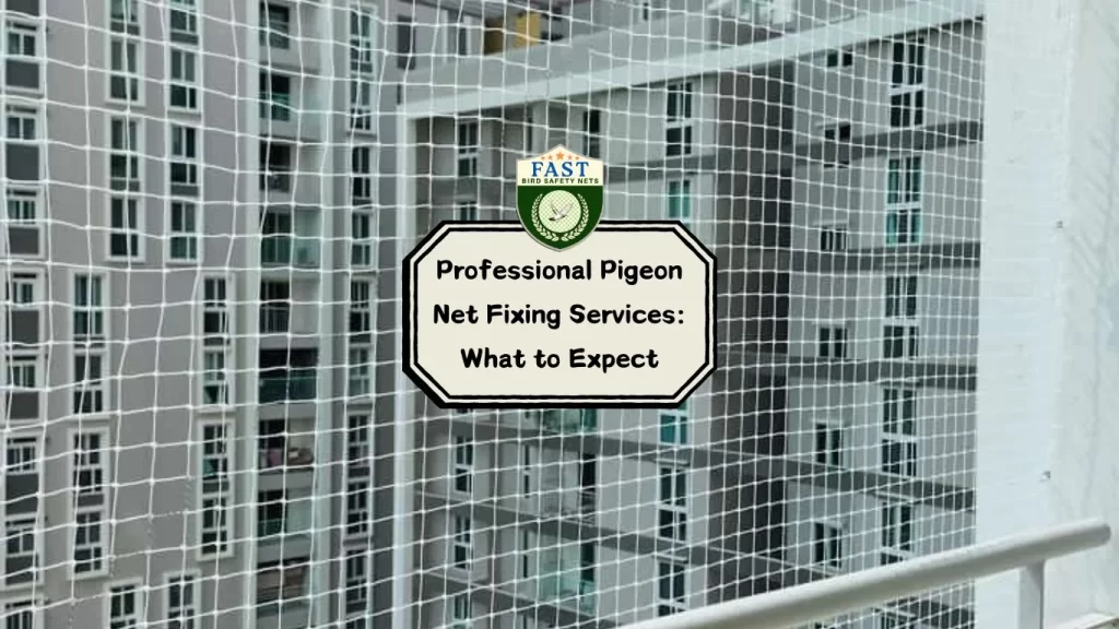 Professional Pigeon Net Fixing Services: What to Expect