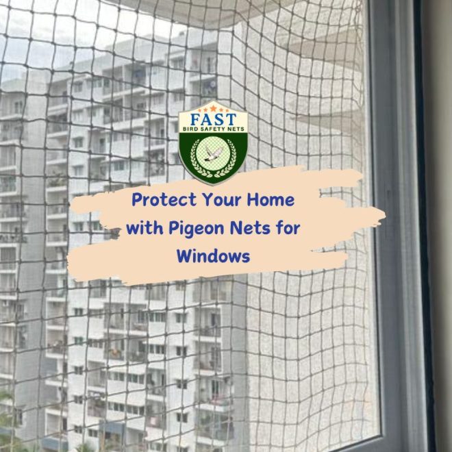 Protect Your Home with Pigeon Nets for Windows