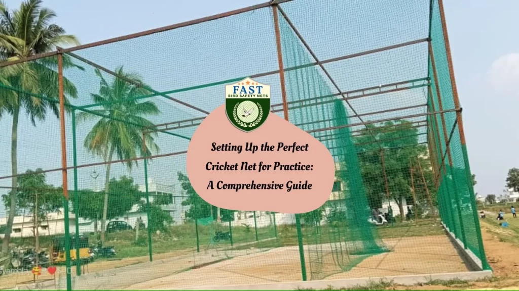 Setting Up the Perfect Cricket Net for Practice: A Comprehensive Guide