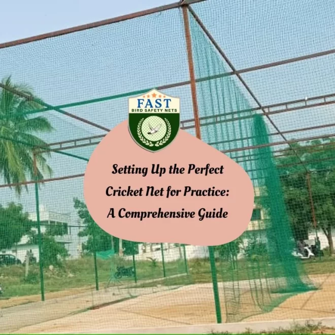 Setting Up the Perfect Cricket Net for Practice: A Comprehensive Guide