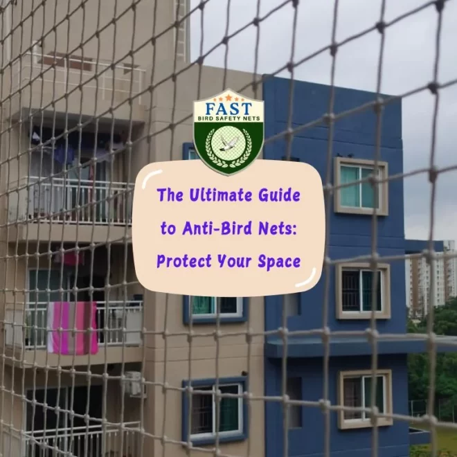 The Ultimate Guide to Anti-Bird Nets: Protect Your Space