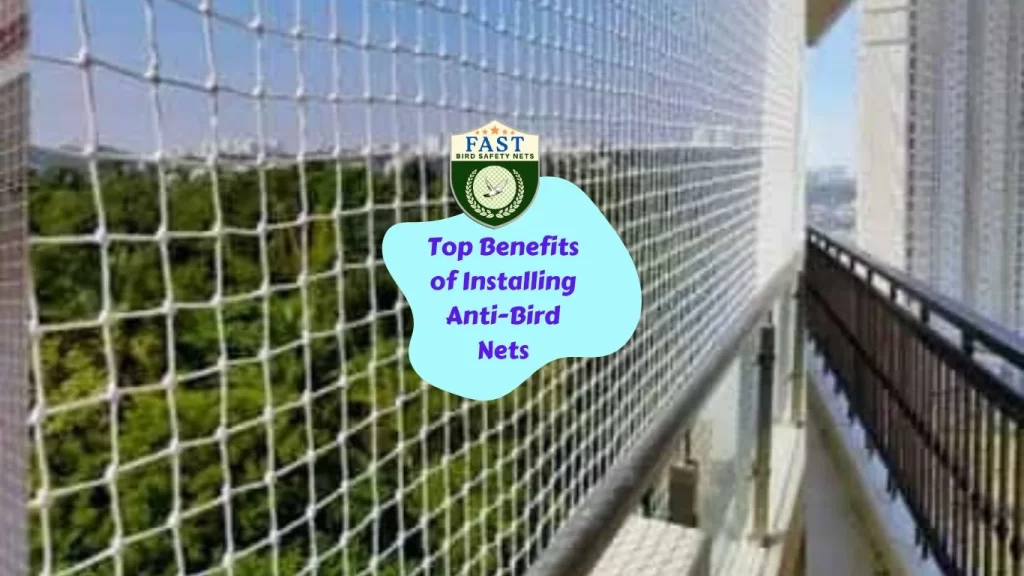 Top Benefits of Installing Anti-Bird Nets