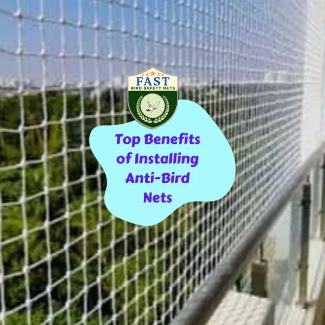 Top Benefits of Installing Anti-Bird Nets