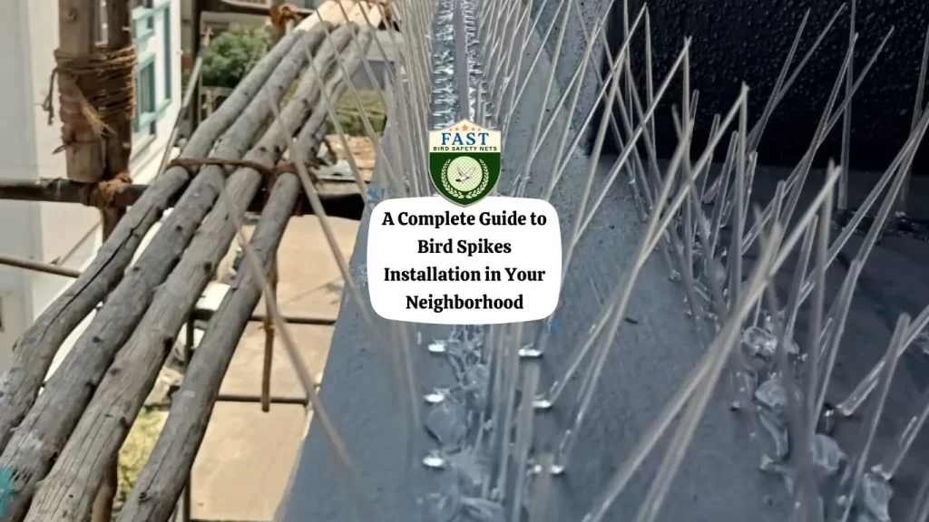 A Complete Guide to Bird Spikes Installation in Your Neighborhood