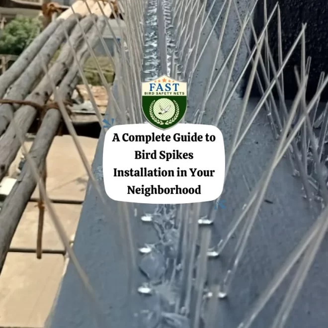 A Complete Guide to Bird Spikes Installation in Your Neighborhood