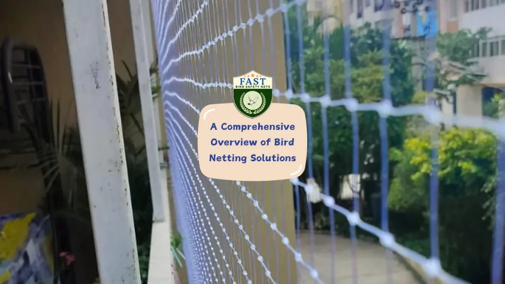 A Comprehensive Overview of Bird Netting Solutions