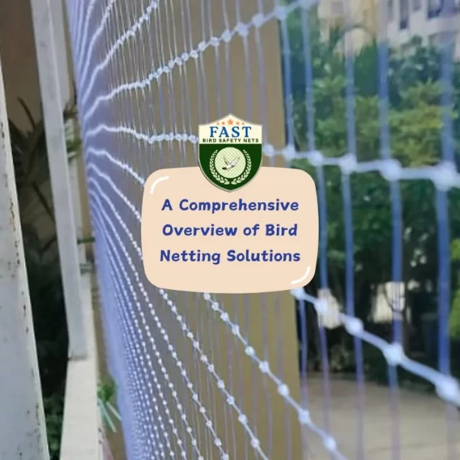 A Comprehensive Overview of Bird Netting Solutions
