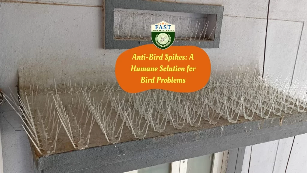 Anti-Bird Spikes: A Humane Solution for Bird Problems