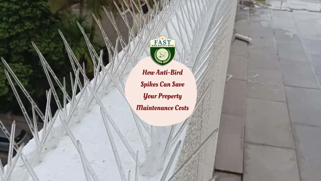 How Anti-Bird Spikes Can Save Your Property Maintenance Costs