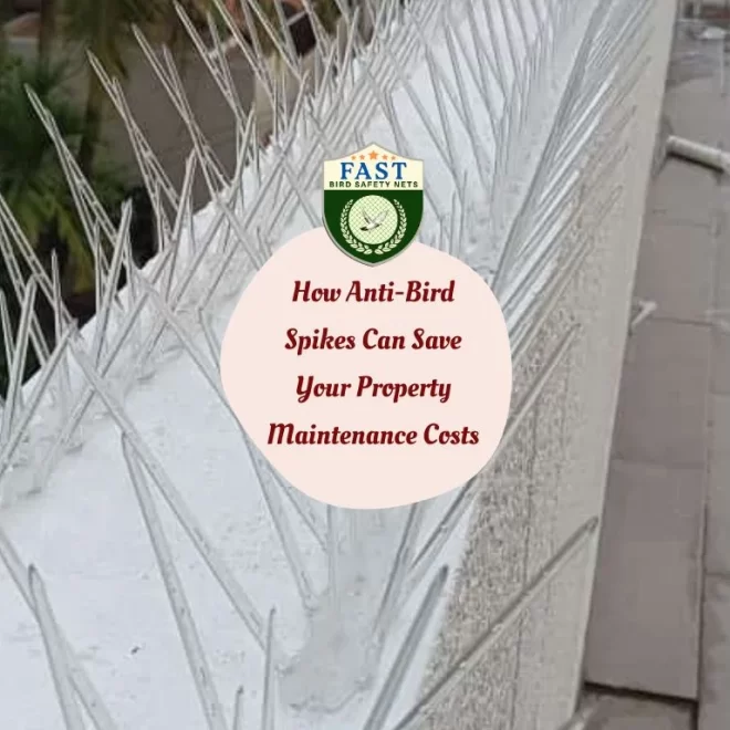 How Anti-Bird Spikes Can Save Your Property Maintenance Costs