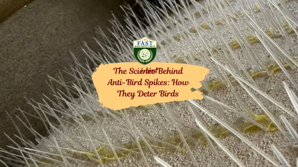 The Science Behind Anti-Bird Spikes: How They Deter Birds