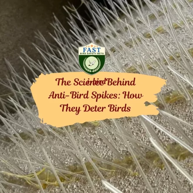 The Science Behind Anti-Bird Spikes: How They Deter Birds