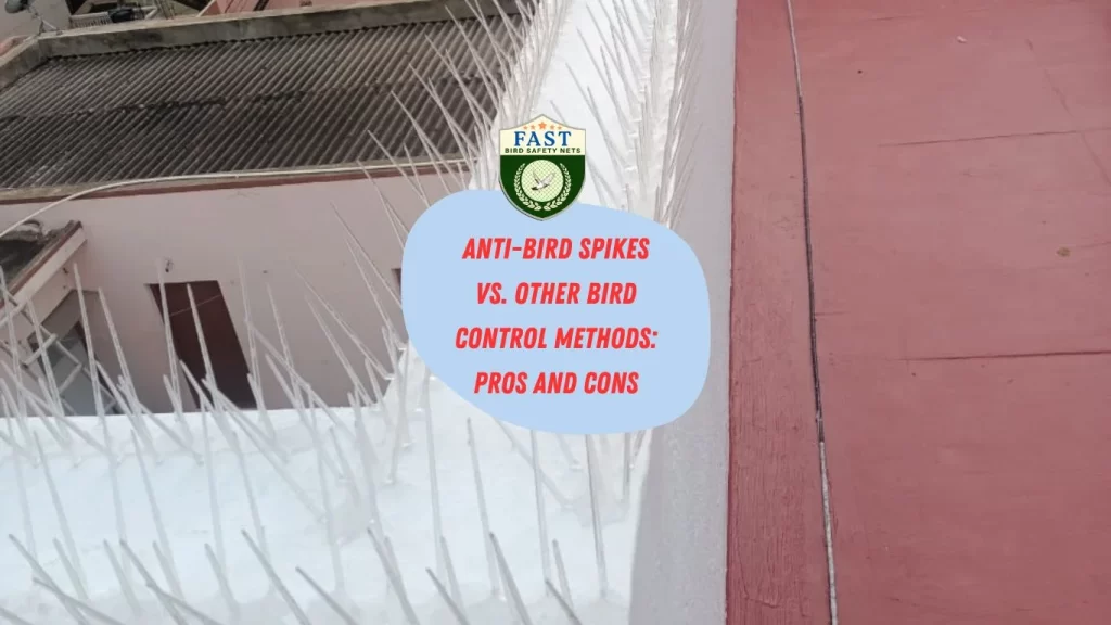 Anti-Bird Spikes vs. Other Bird Control Methods: Pros and Cons