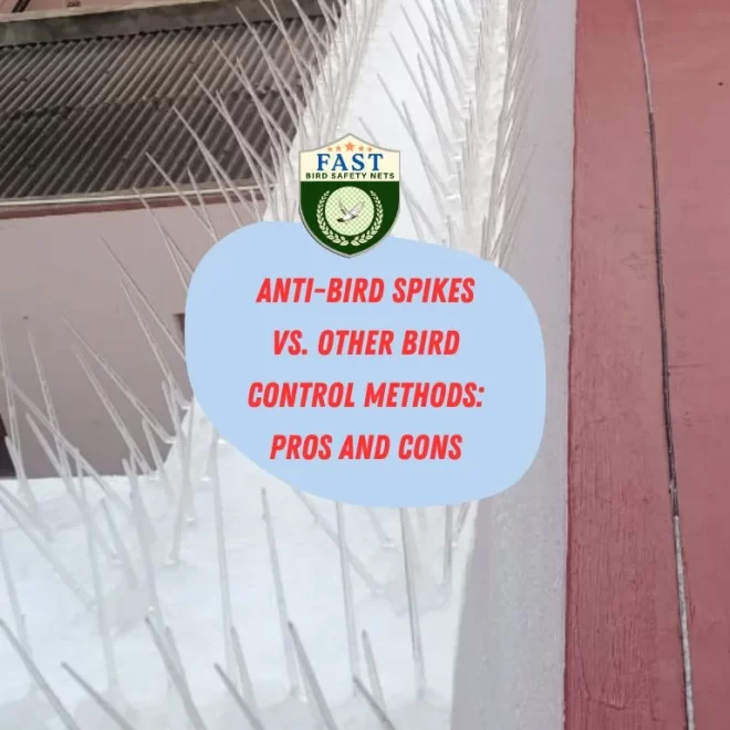 Anti-Bird Spikes vs. Other Bird Control Methods: Pros and Cons